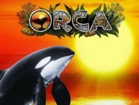 jogos ca챌a-n챠queis